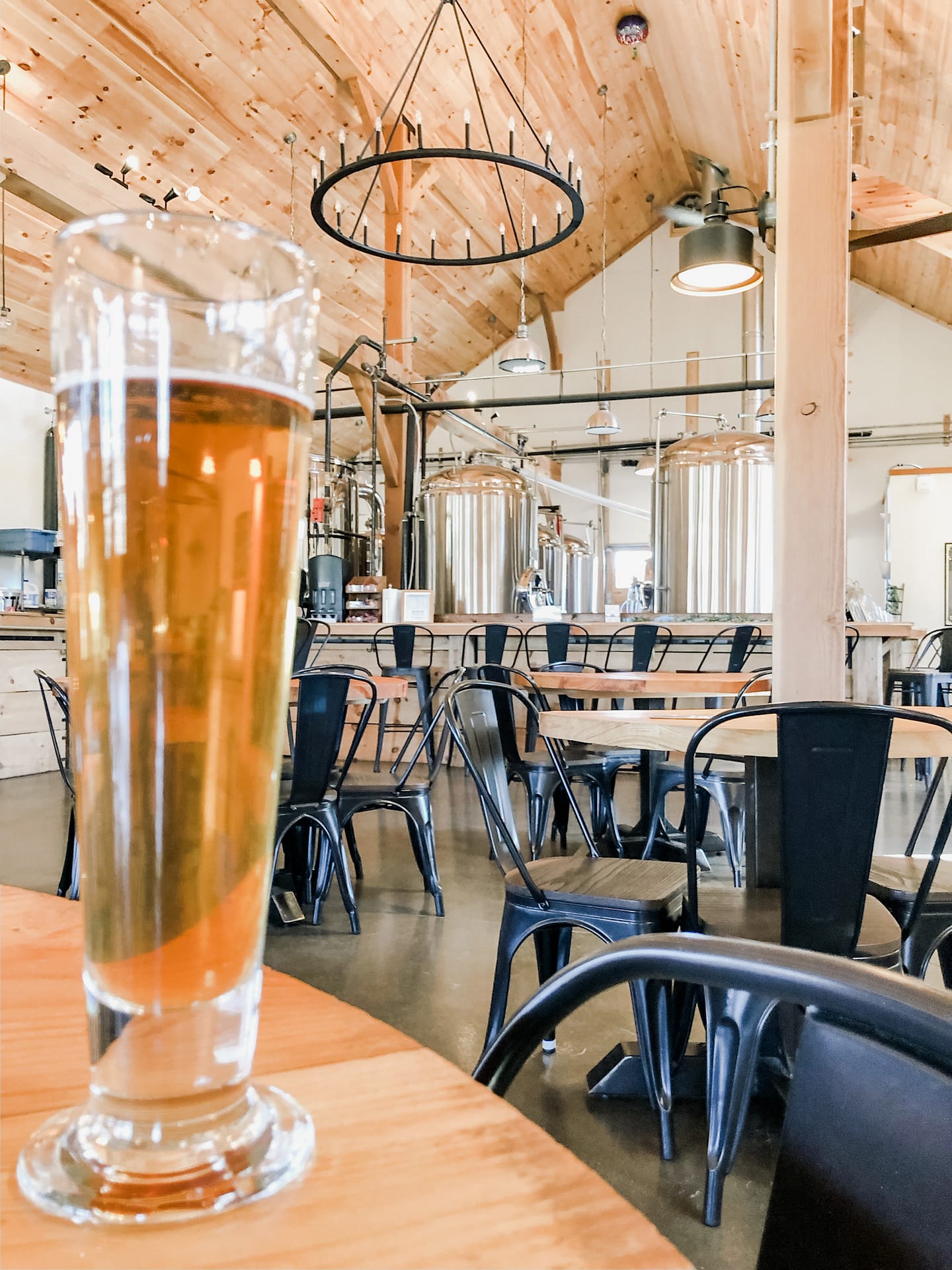 Glass of beer with interior of taproom in background