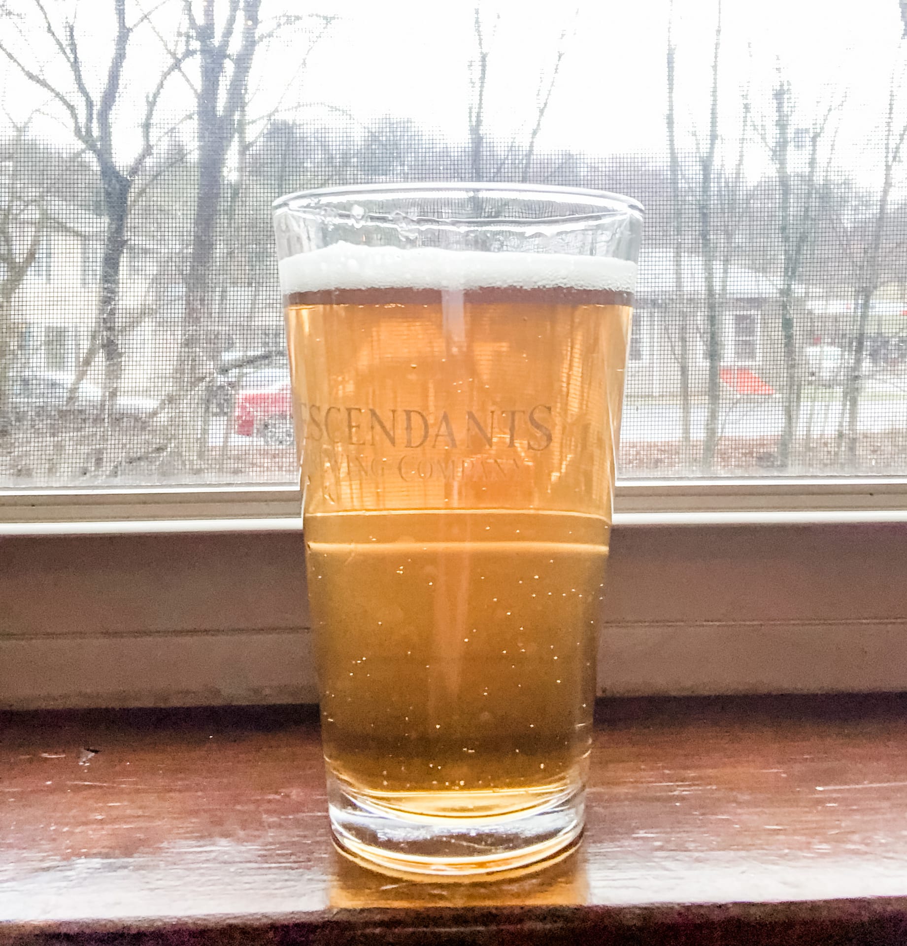 Glass of beer with window in background