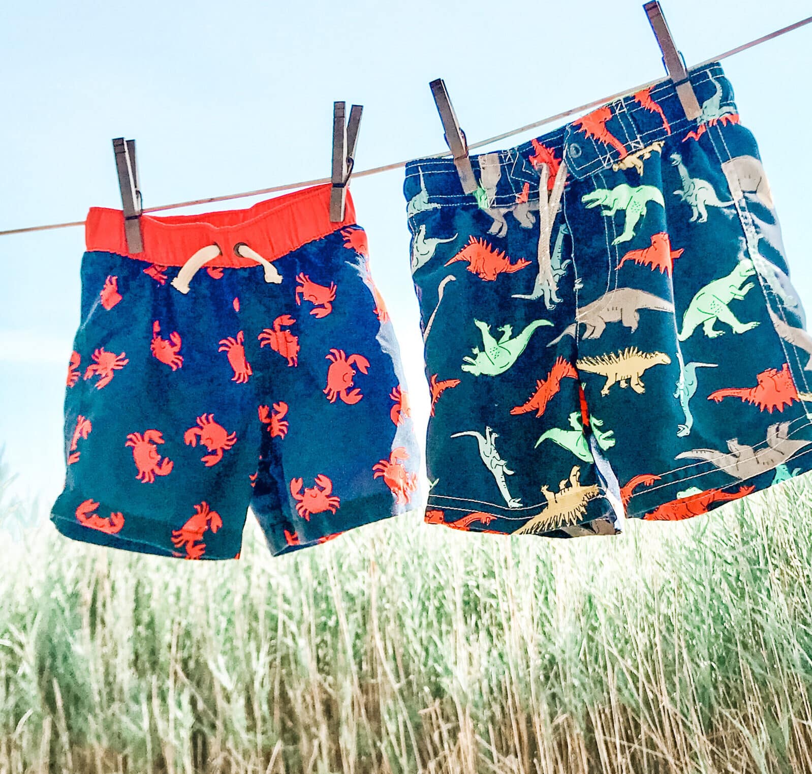 Boys bathing suits on a clothesline with grass in background